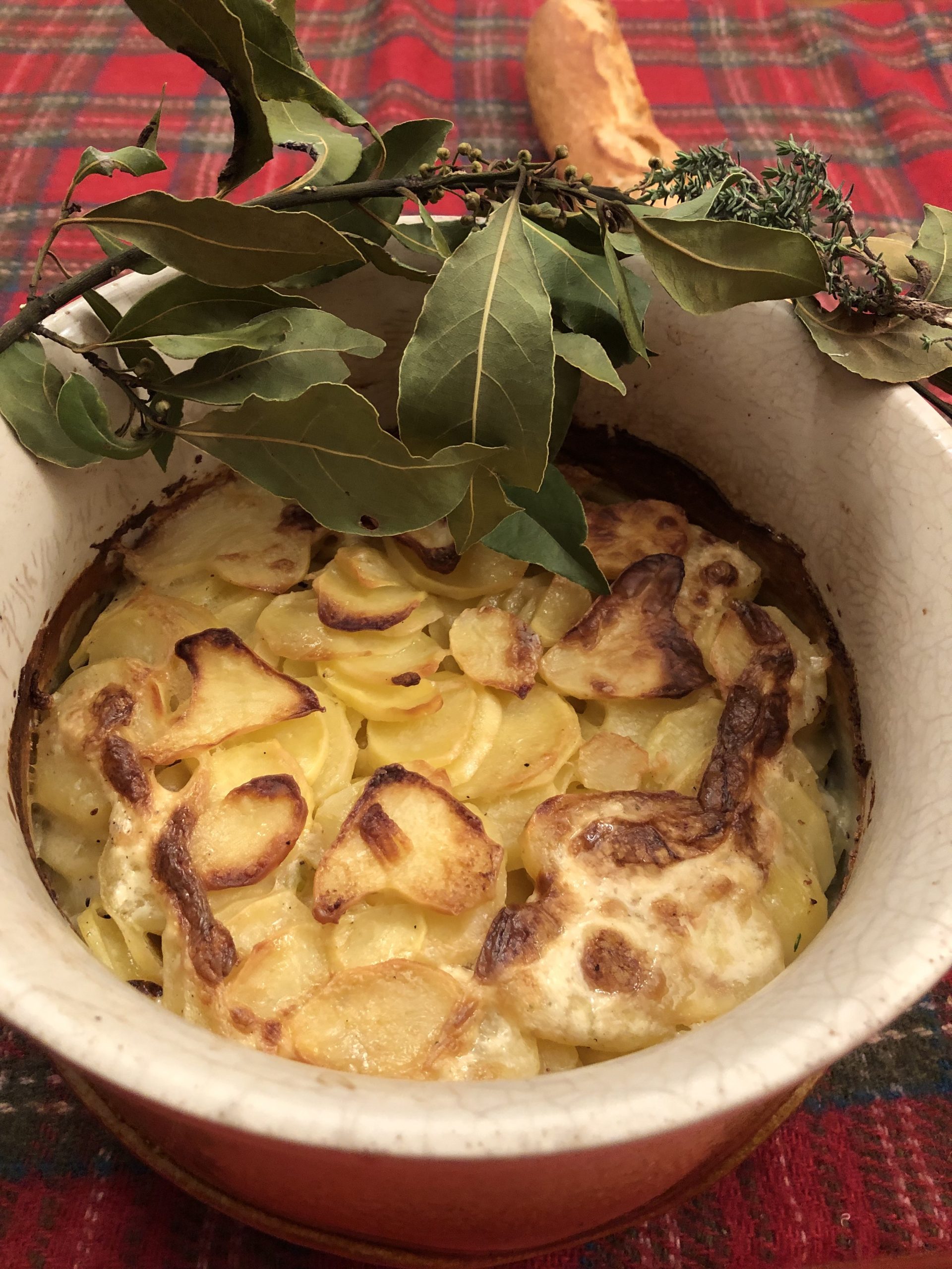 Gratin de pommes de terre